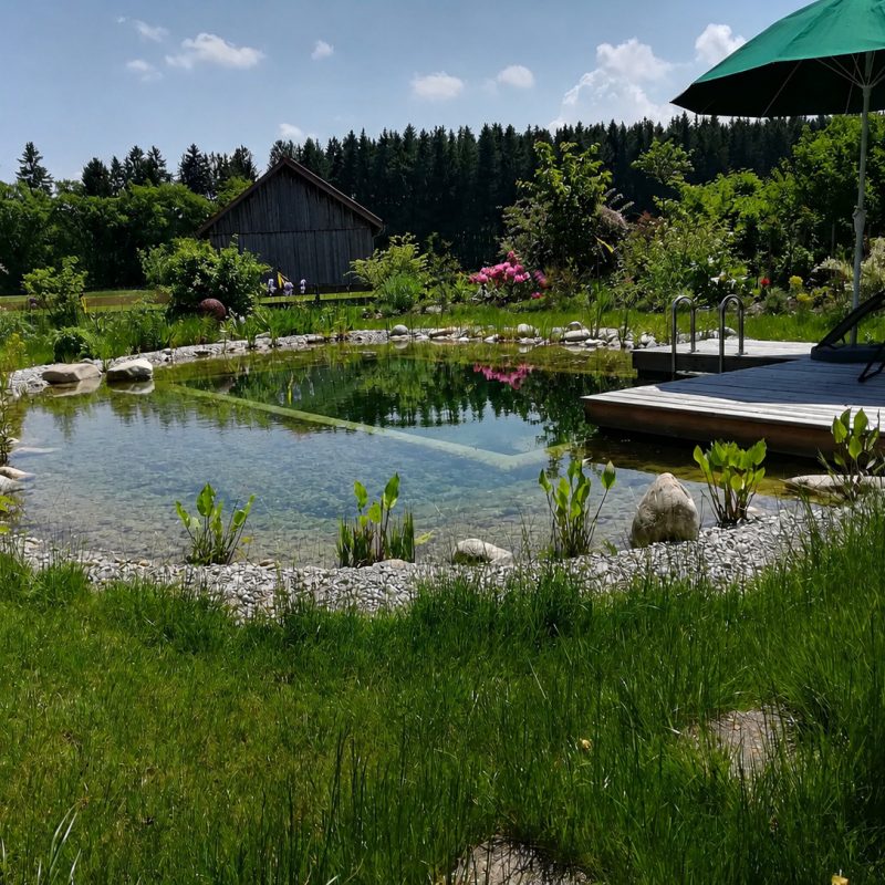 Teich-H-3